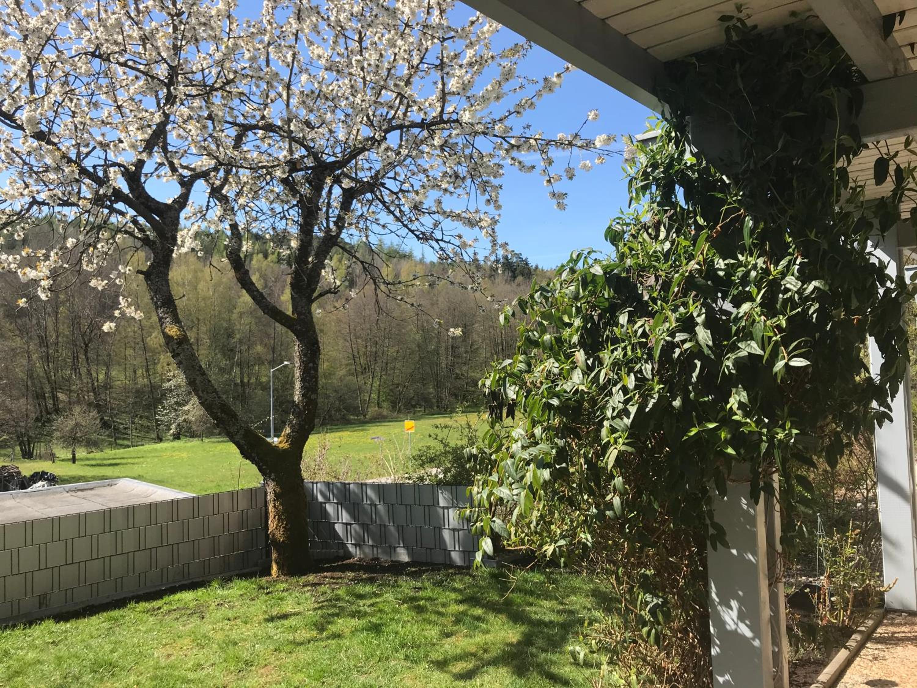 Pension-Ferienwohnung Liesbachtal direkt am Waldrand Bayerische Rhön