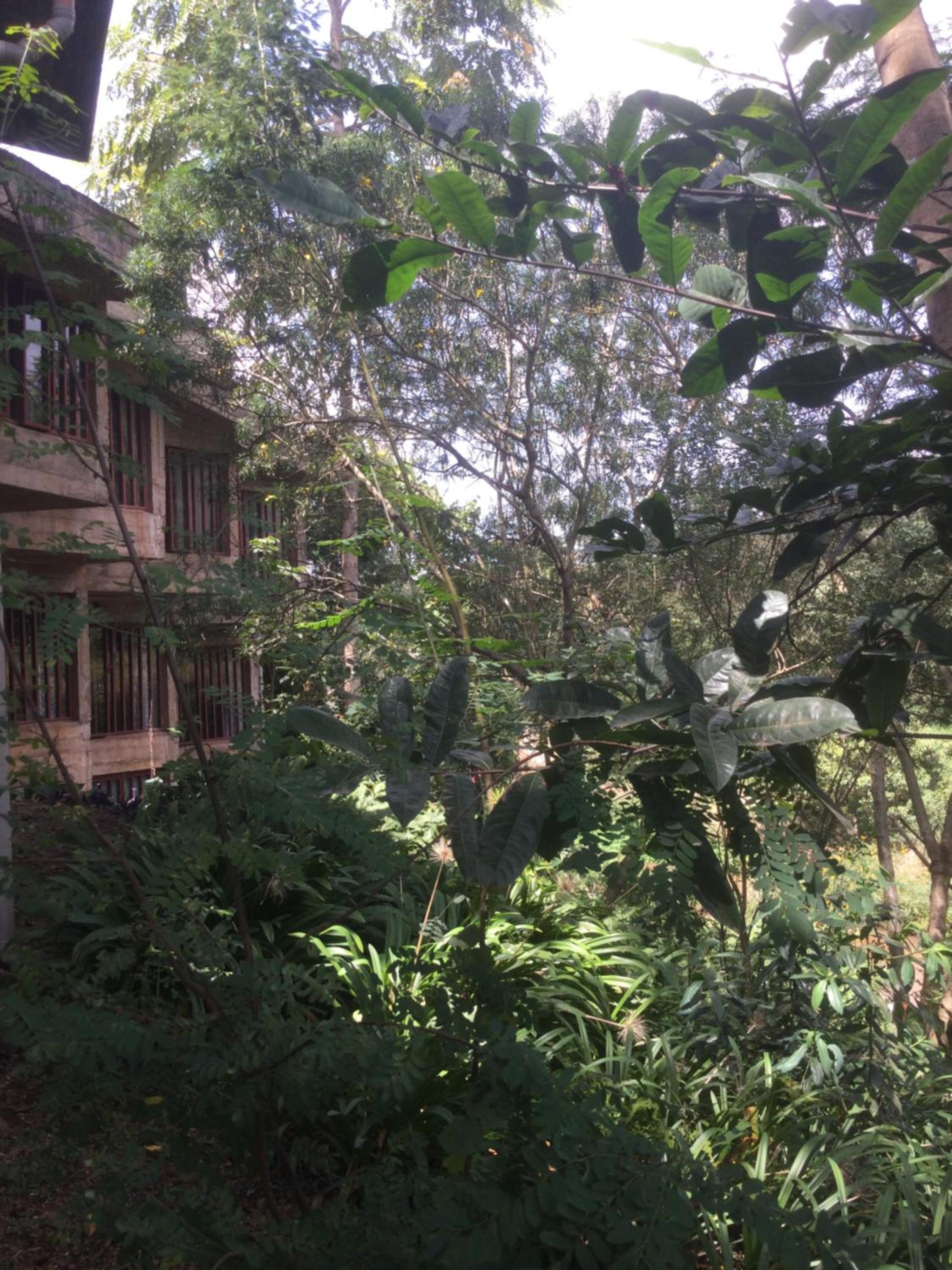 Villa Rock Stop Falls Gigiri