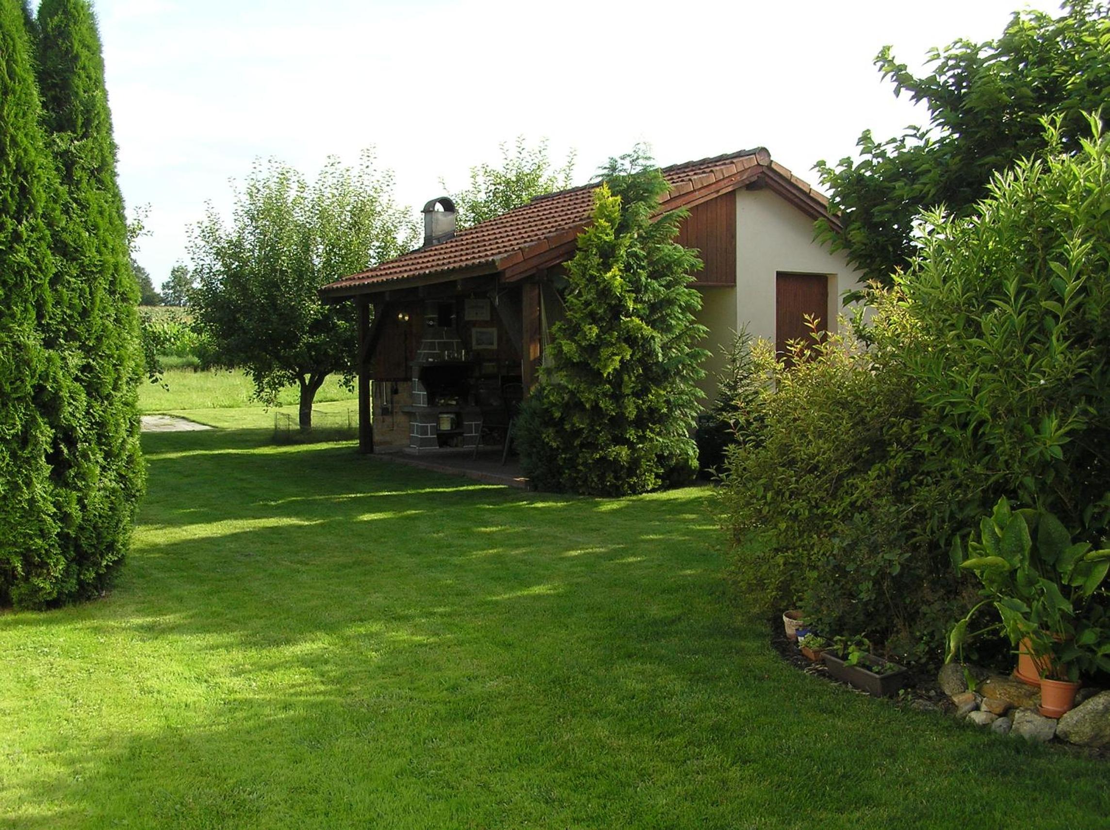 Photo 11
