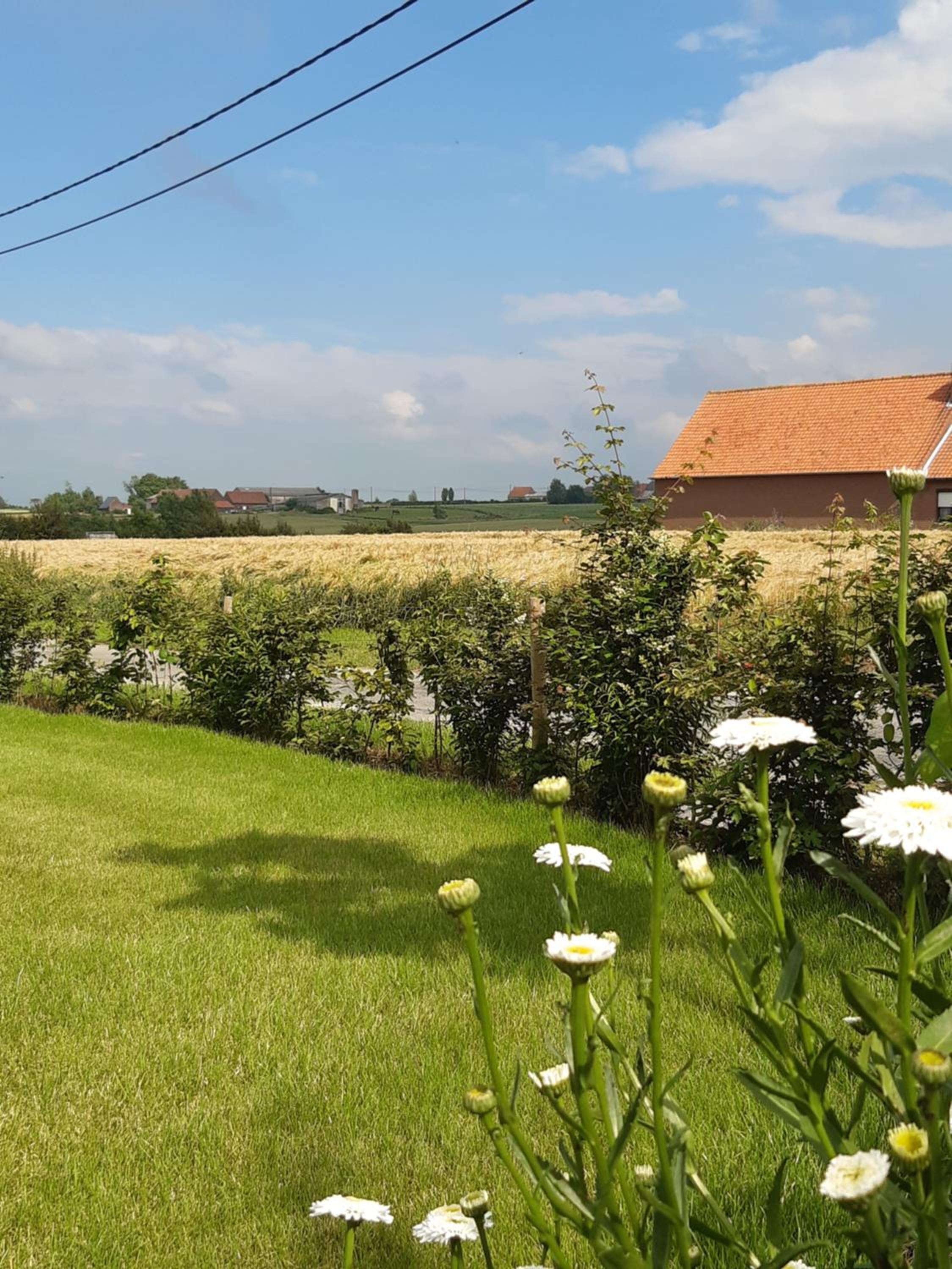 vakantiehuis zoetendaal