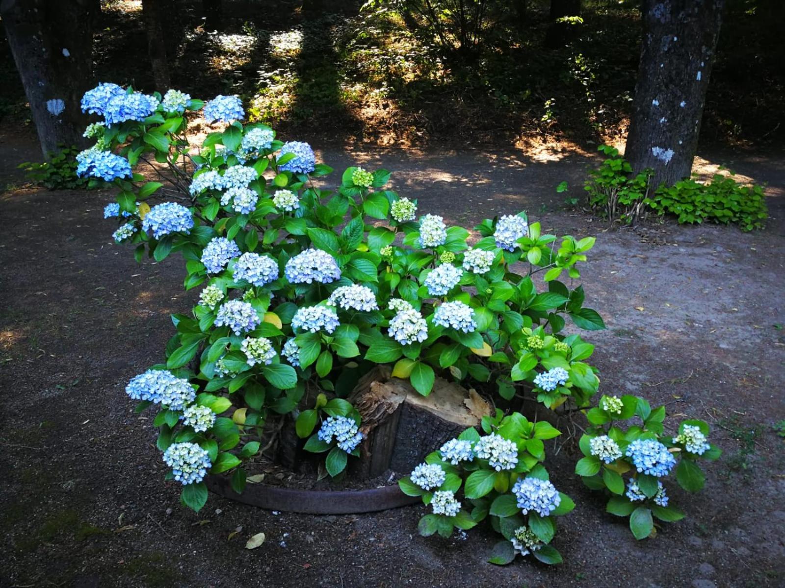 Photo 14