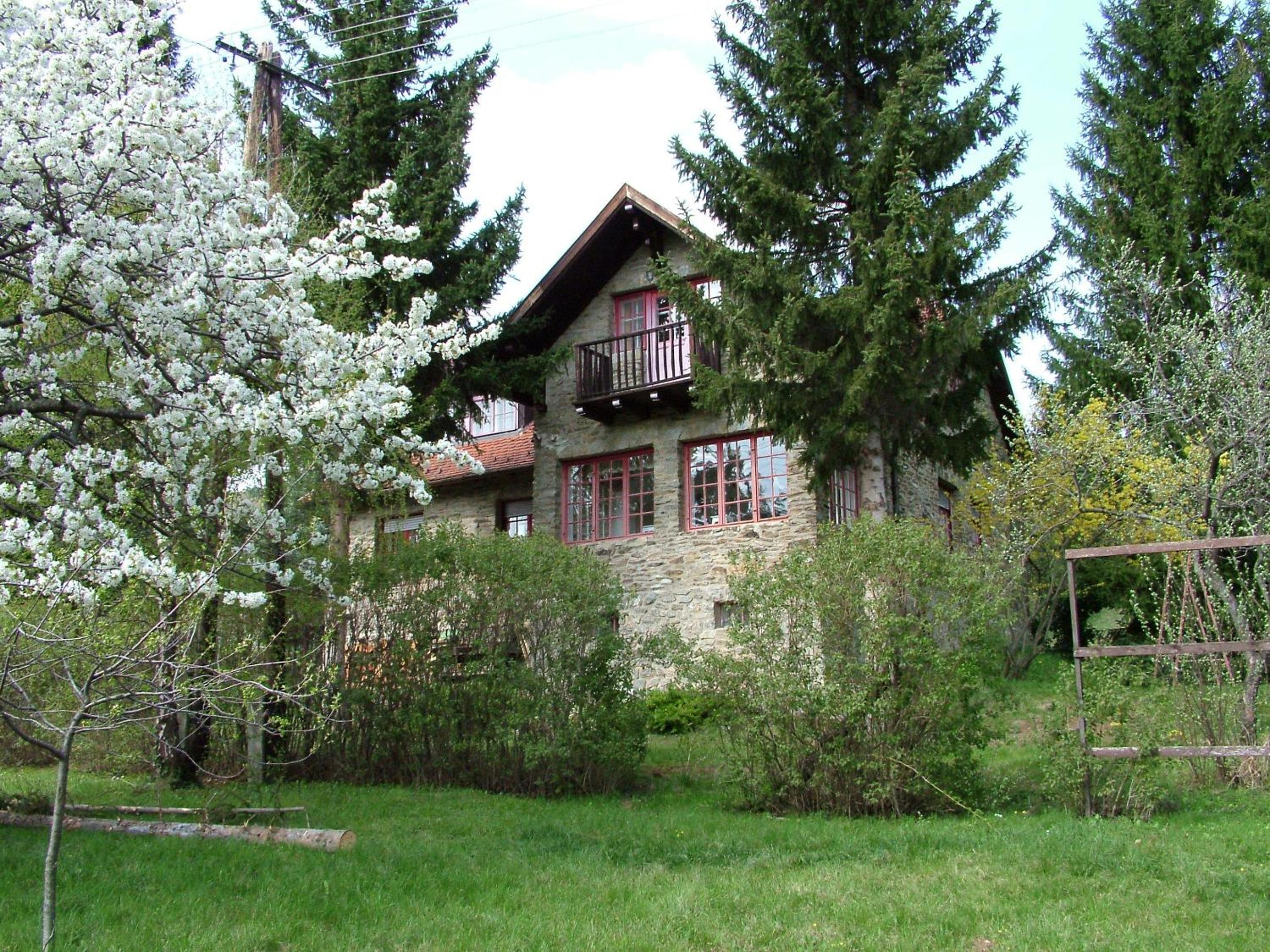 Photo 15