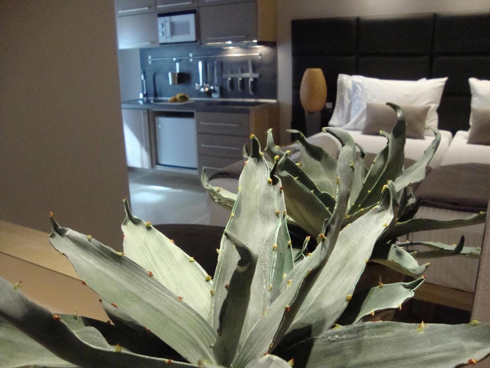 Ionian Eye Design Studios & Spa