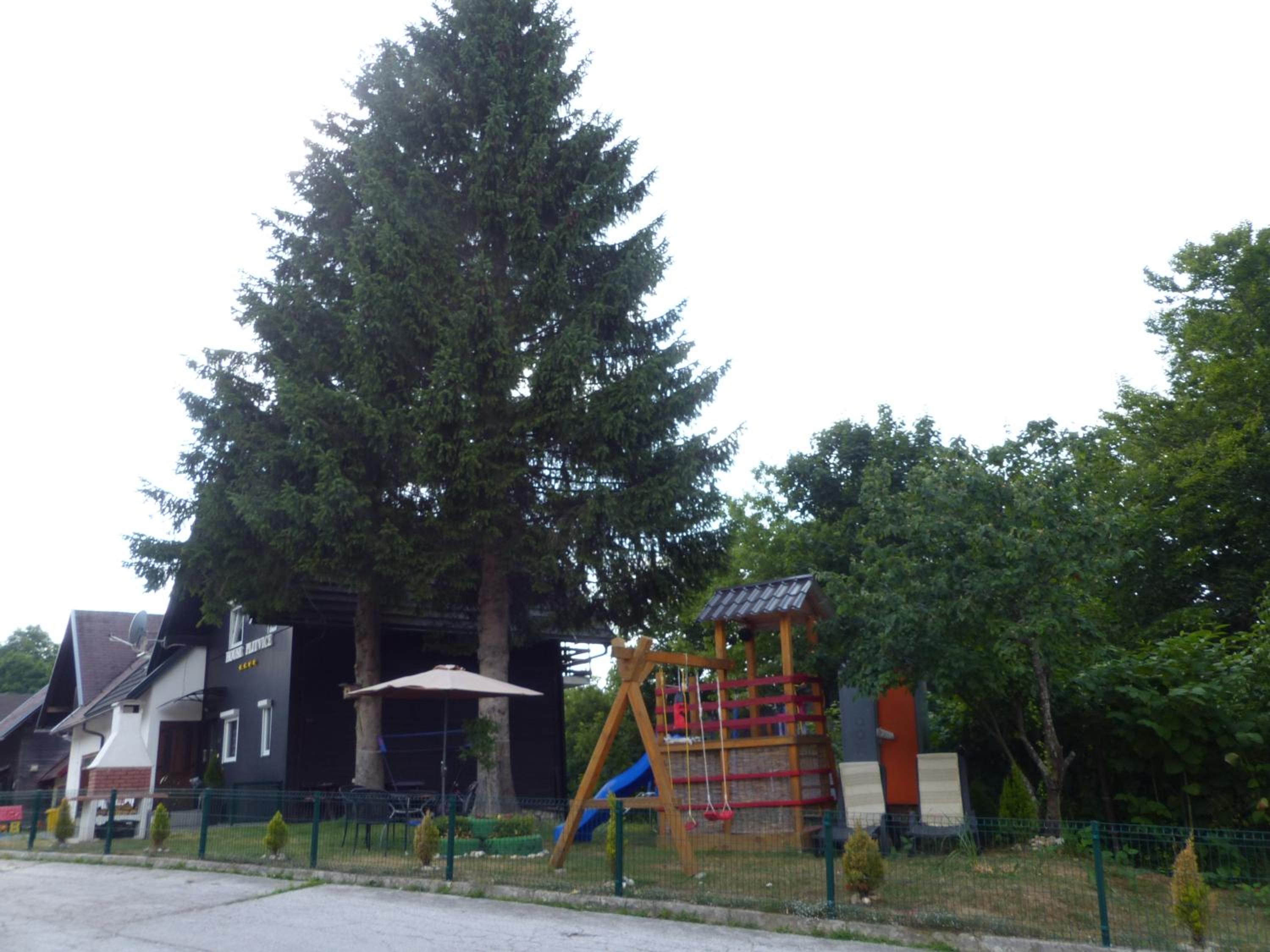 Photo 33