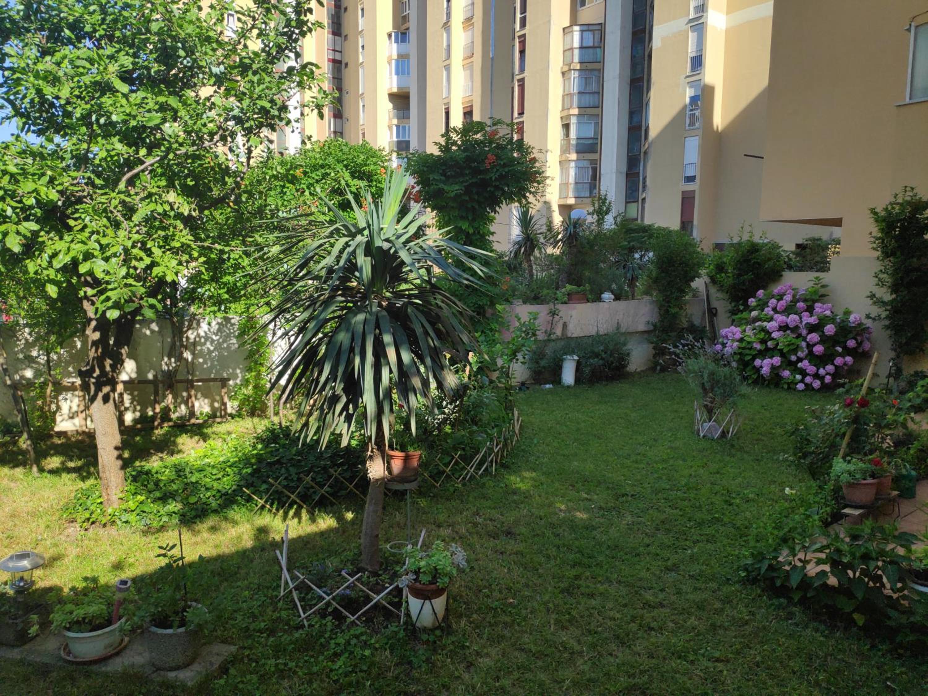 Spacious apartment with big garden near beach photo 2