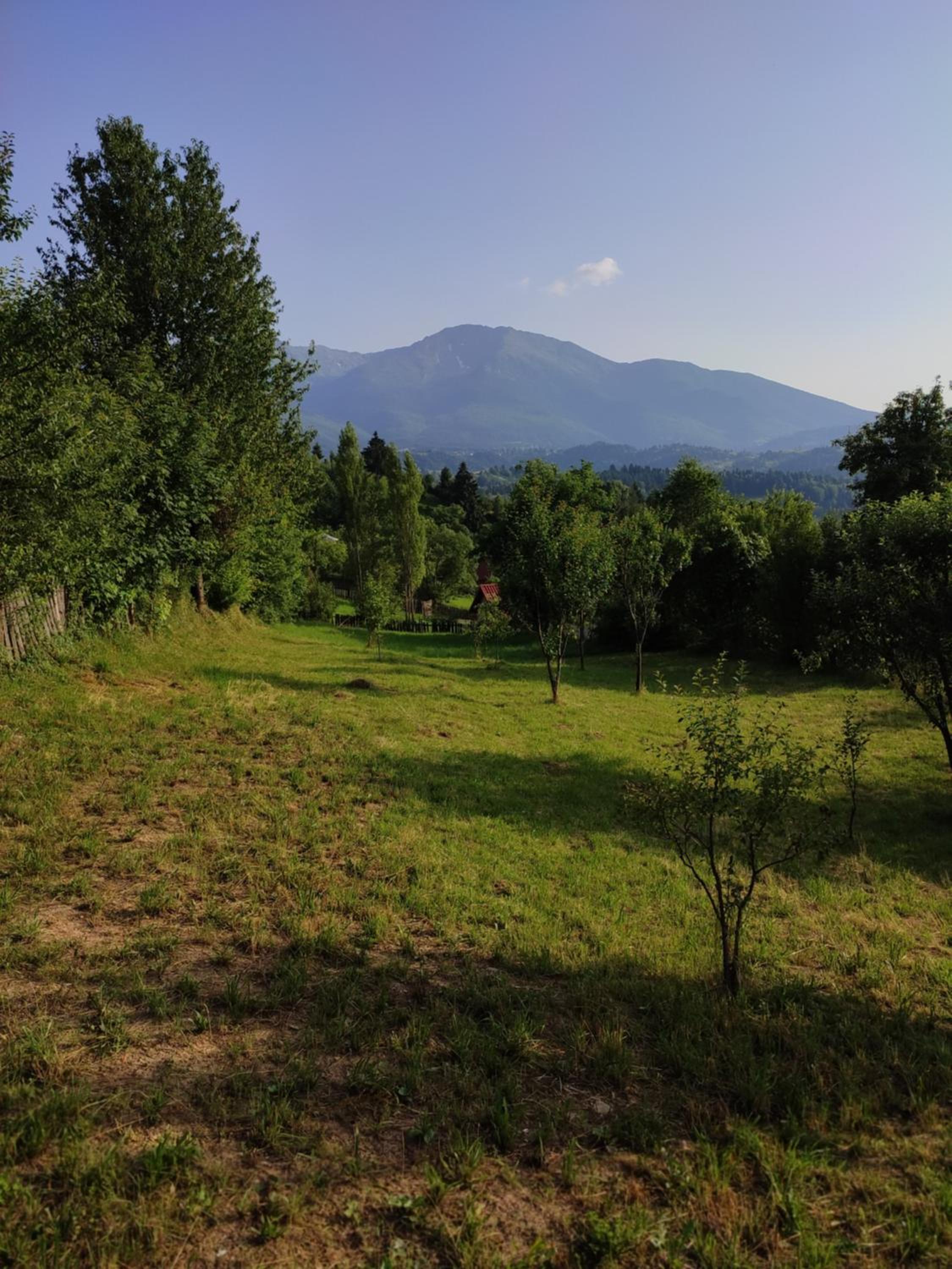Photo 34