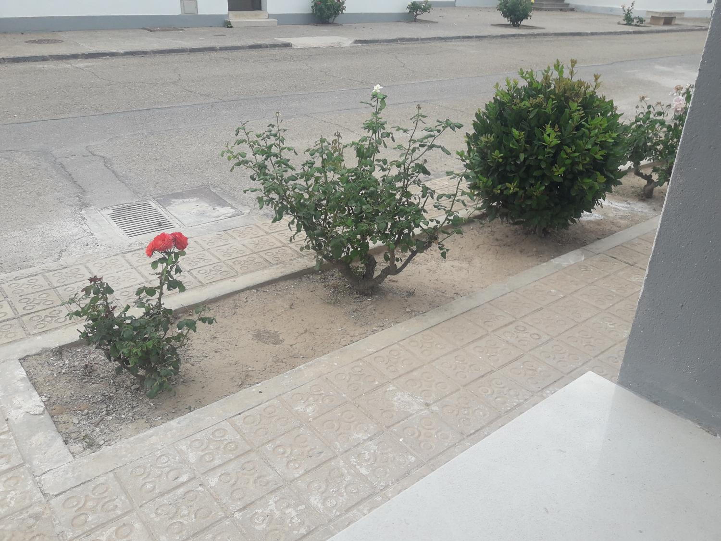 Photo 27