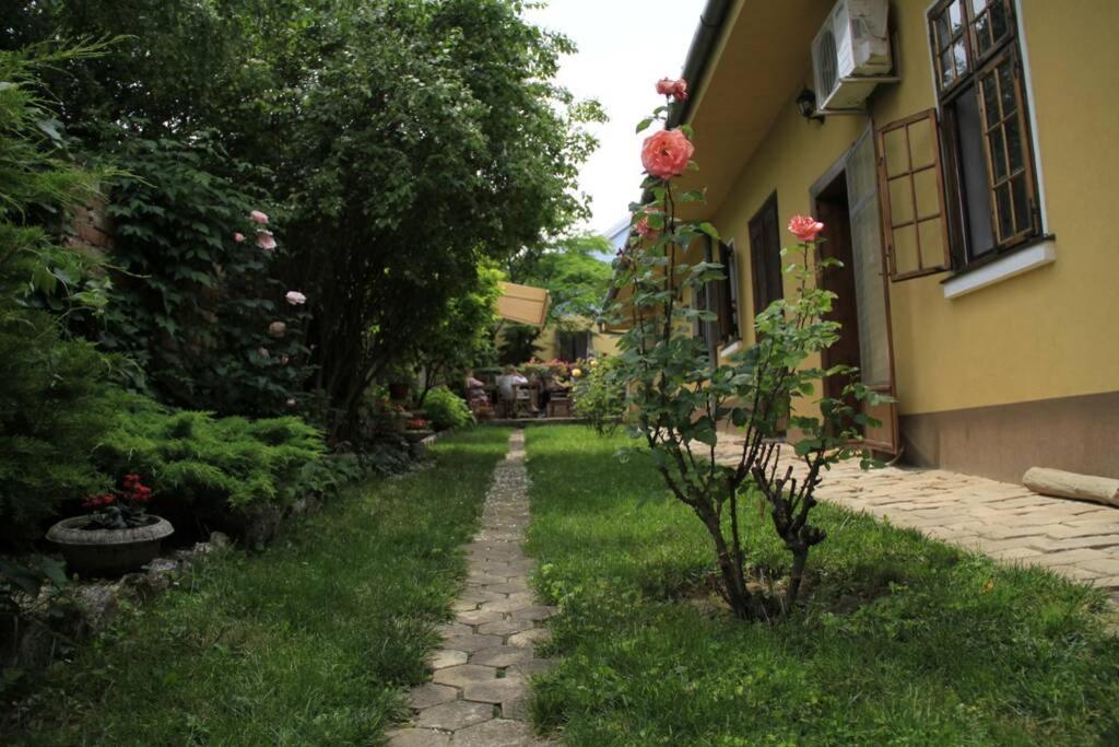 Apartman Brankova kuća view 4