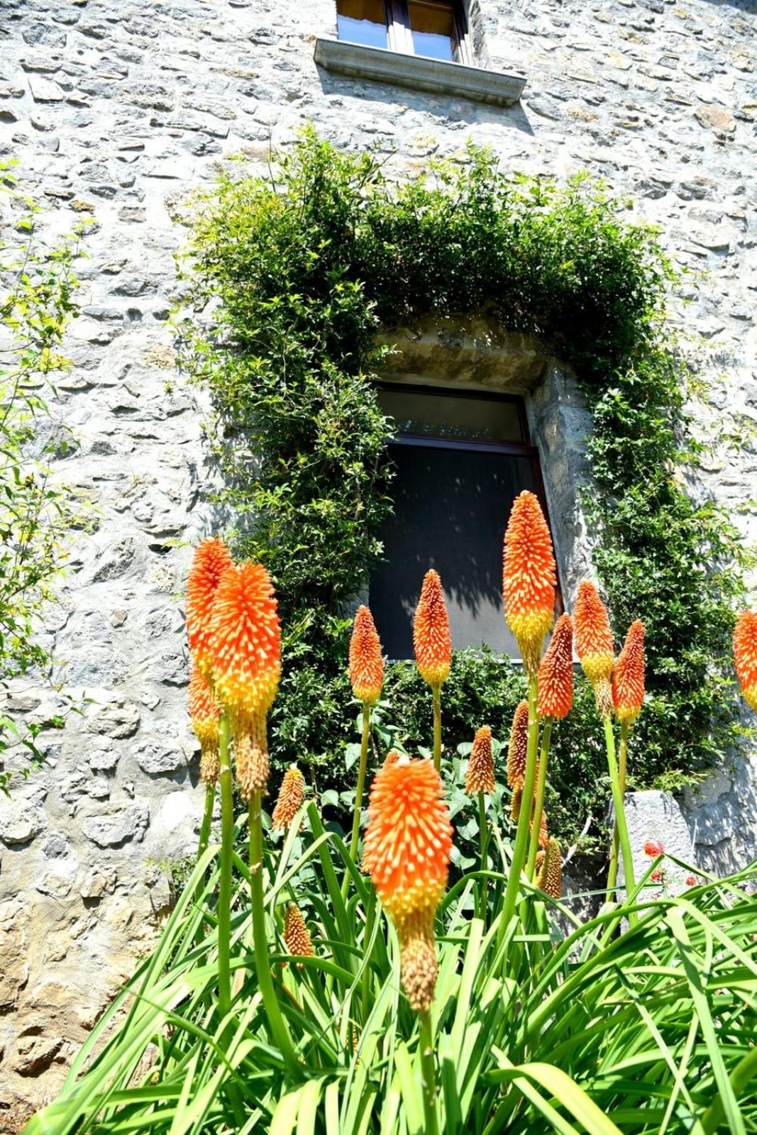 Photo 37