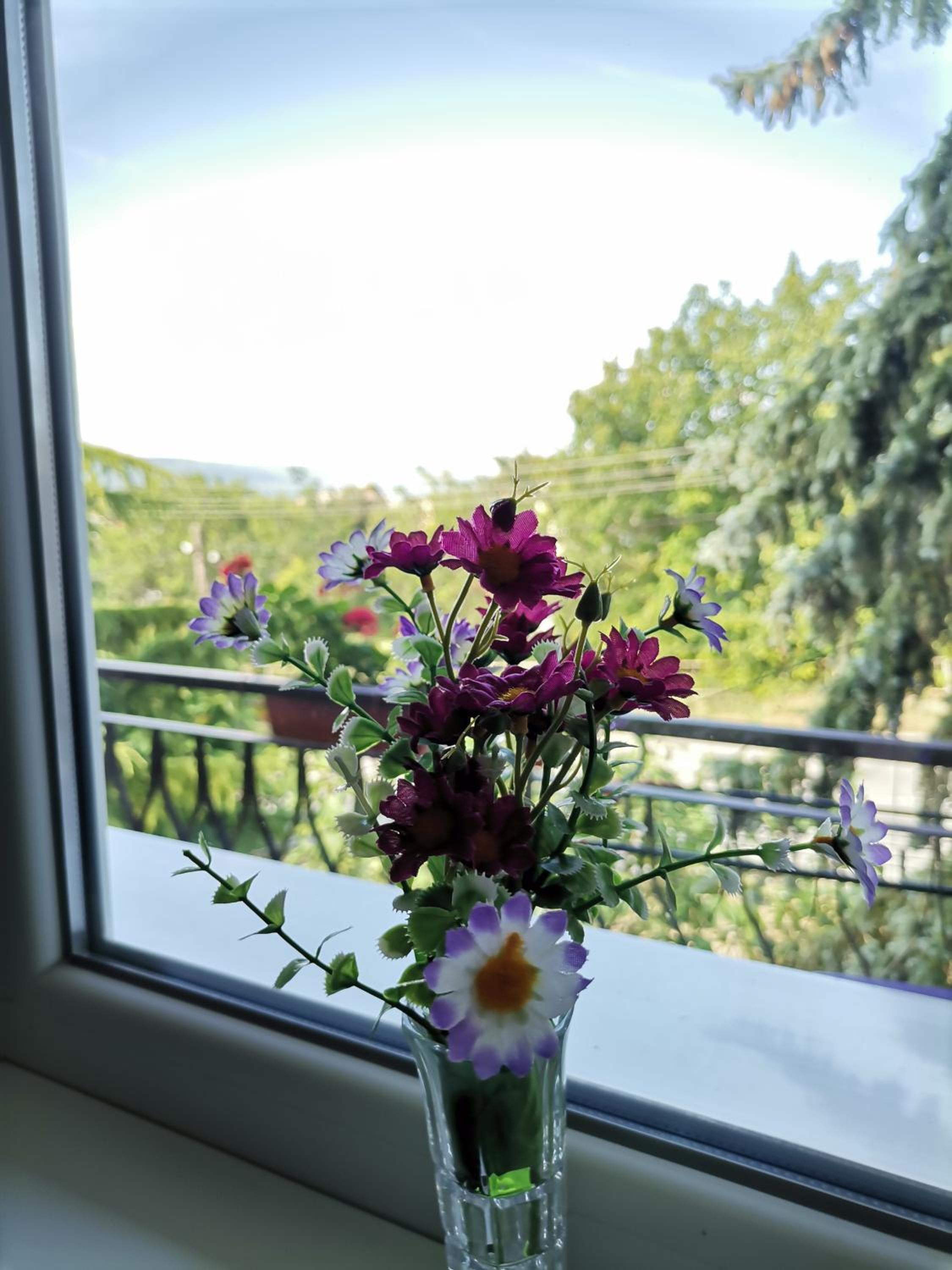 Guest House 51