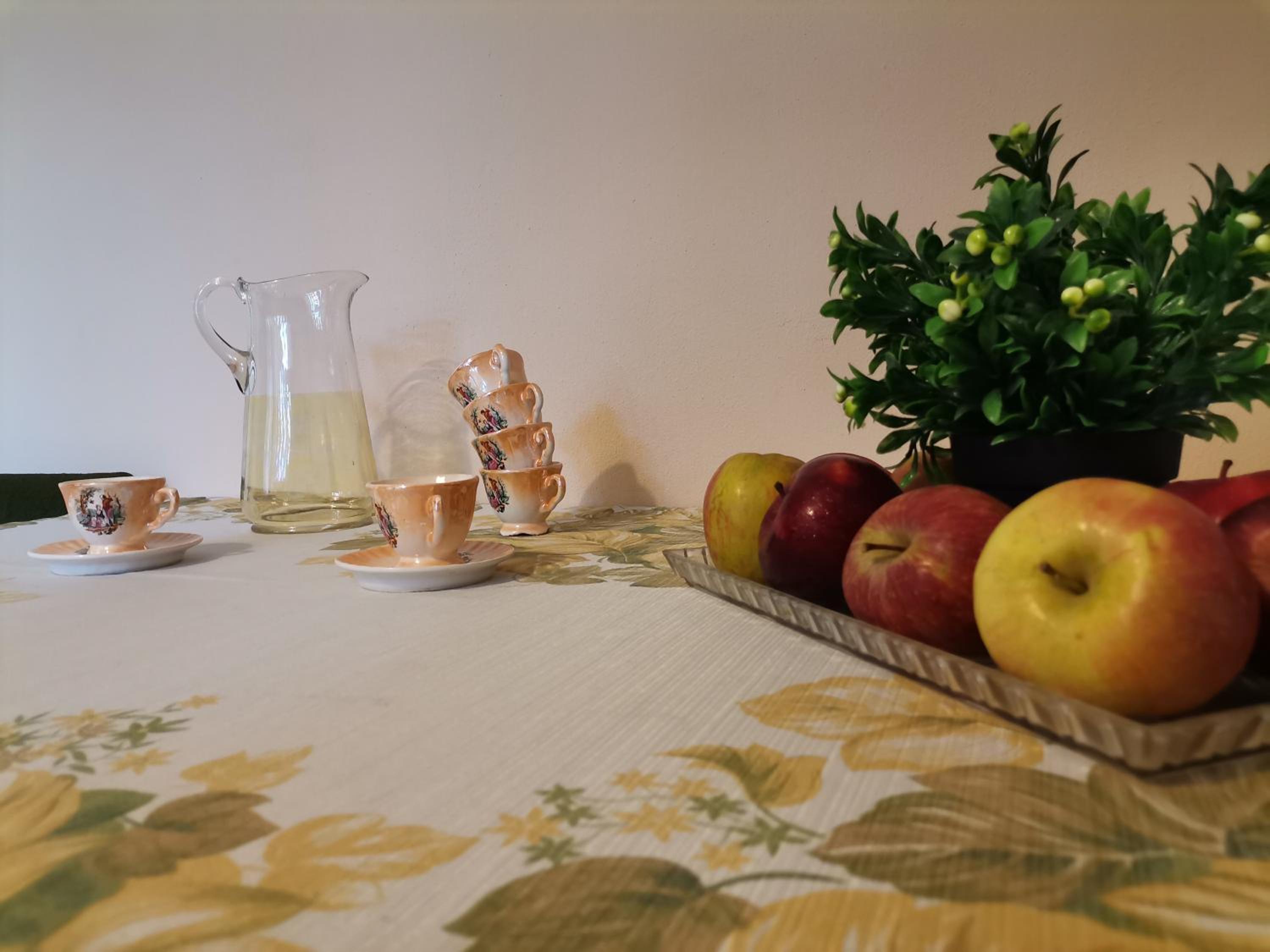 Guest House 51