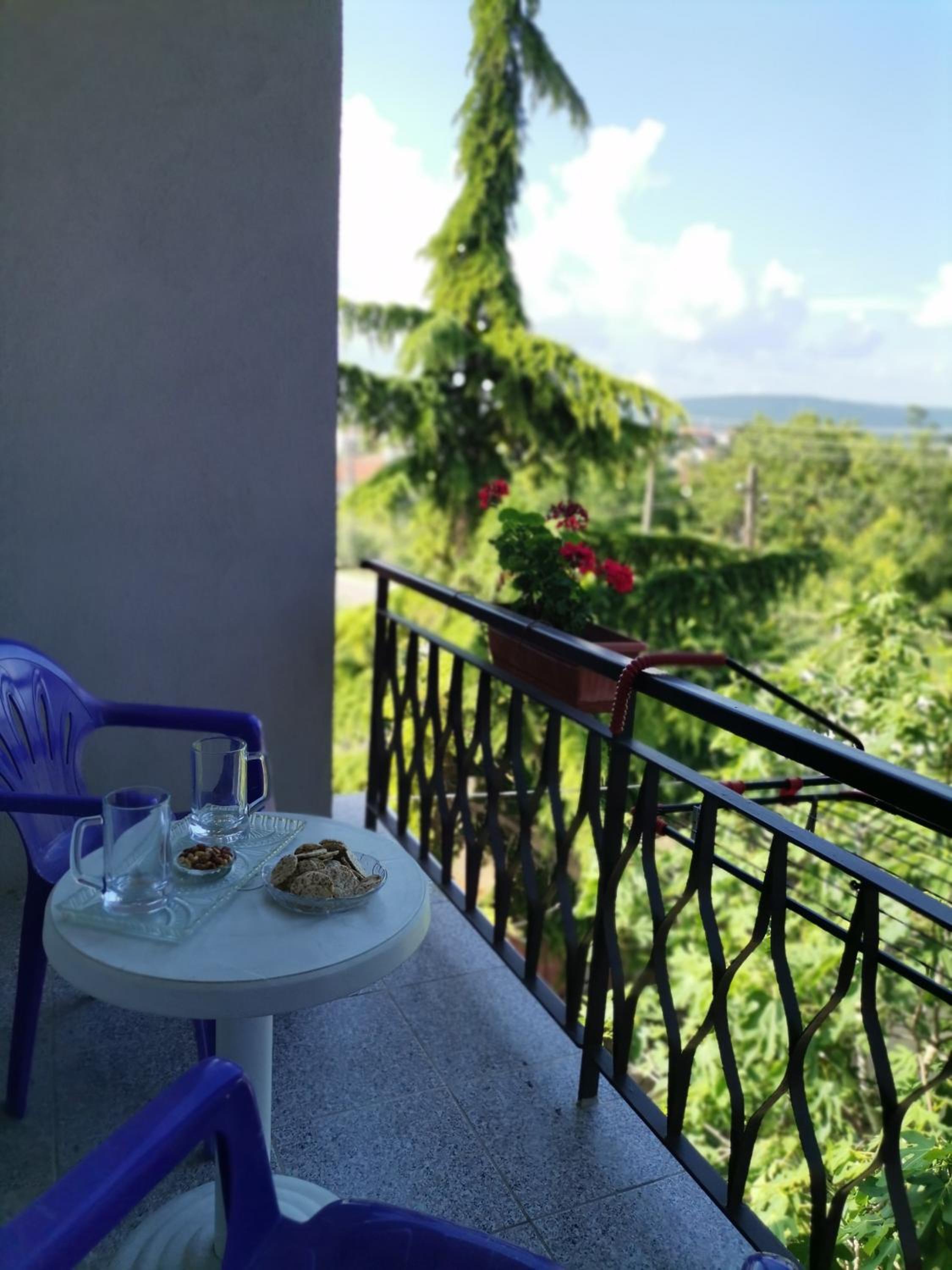 Guest House 51