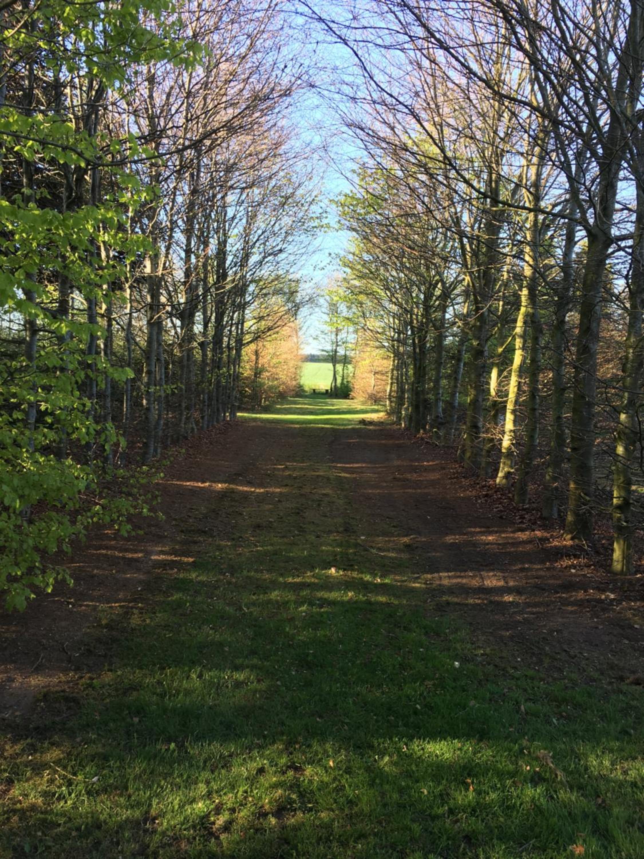 Emda Country living close to Legoland