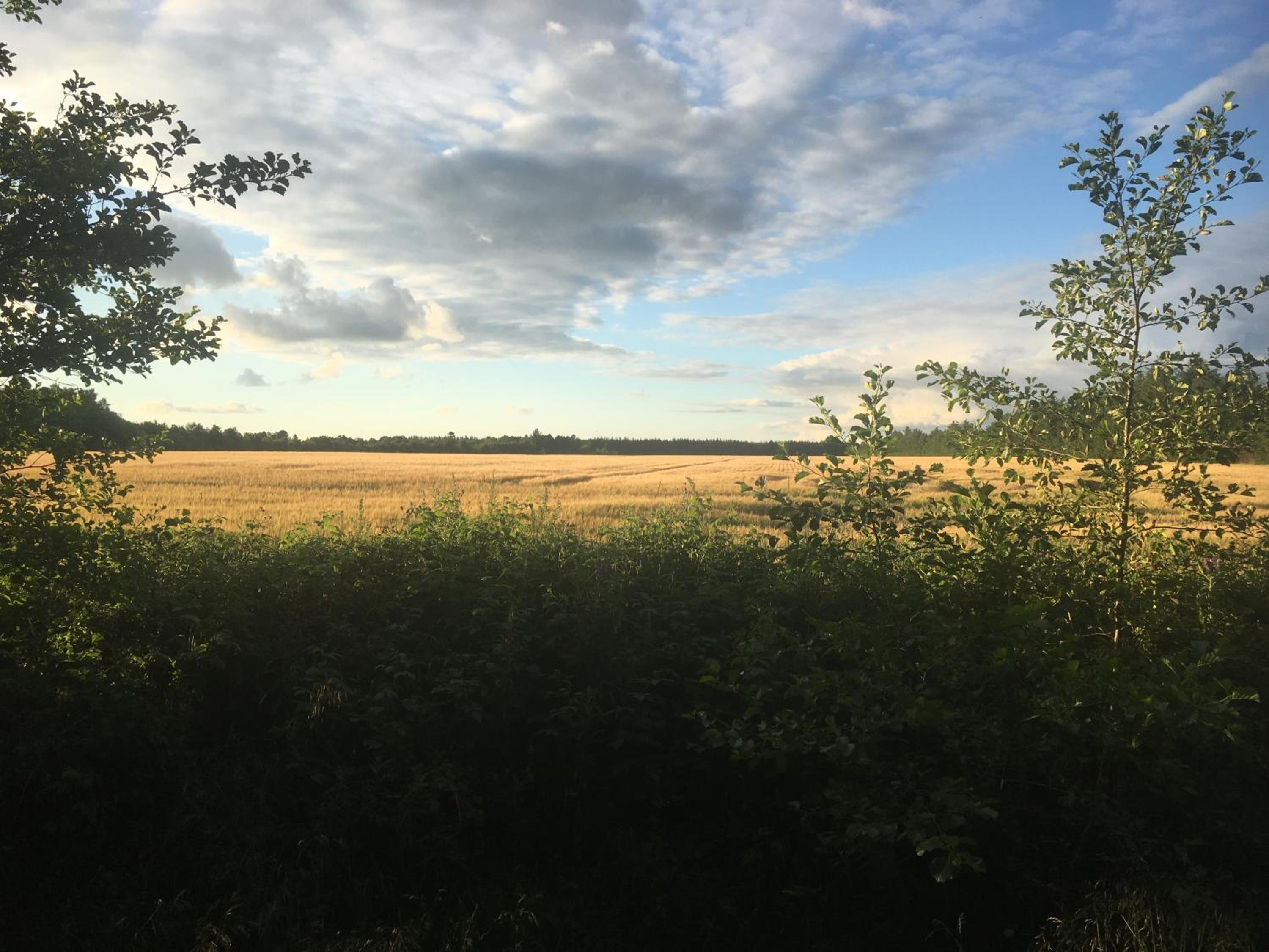 Emda Country living close to Legoland