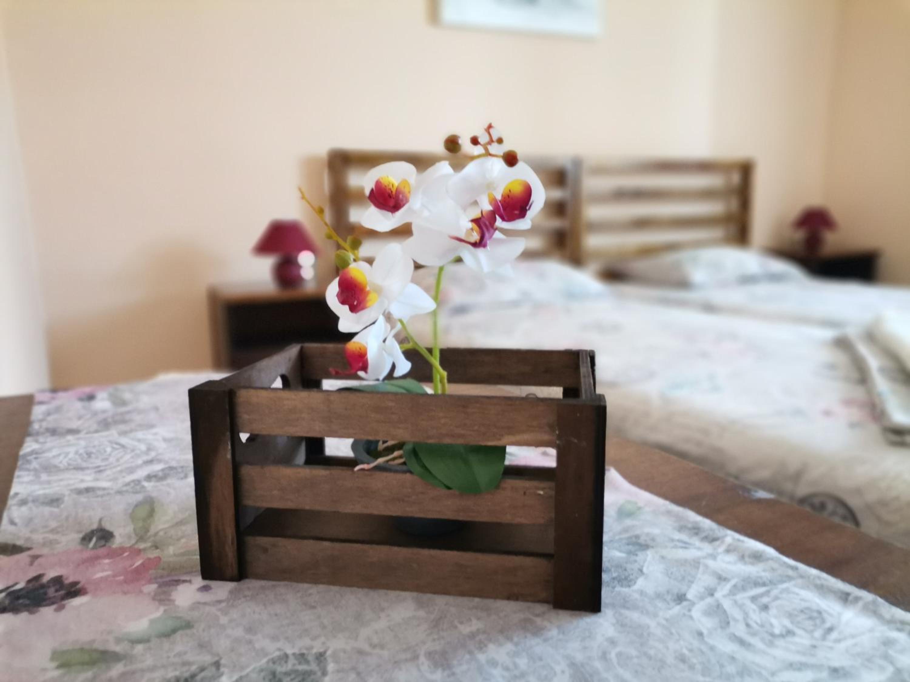 Guest House 51
