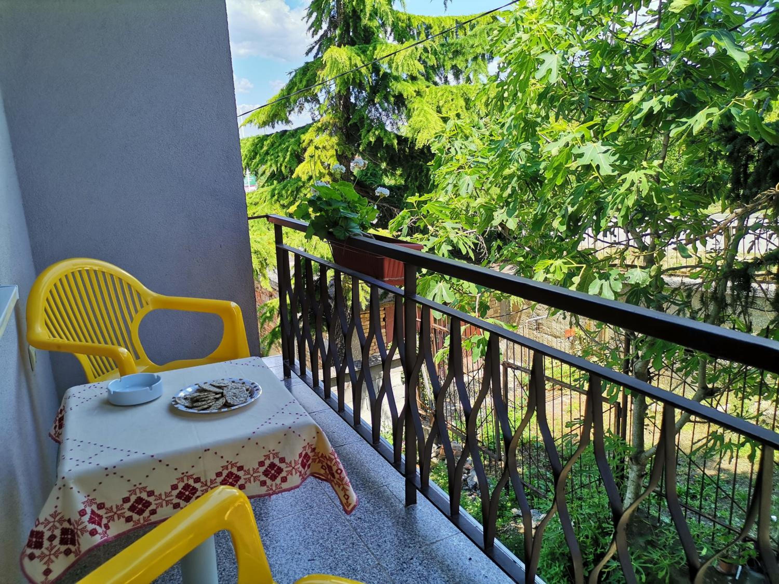 Guest House 51