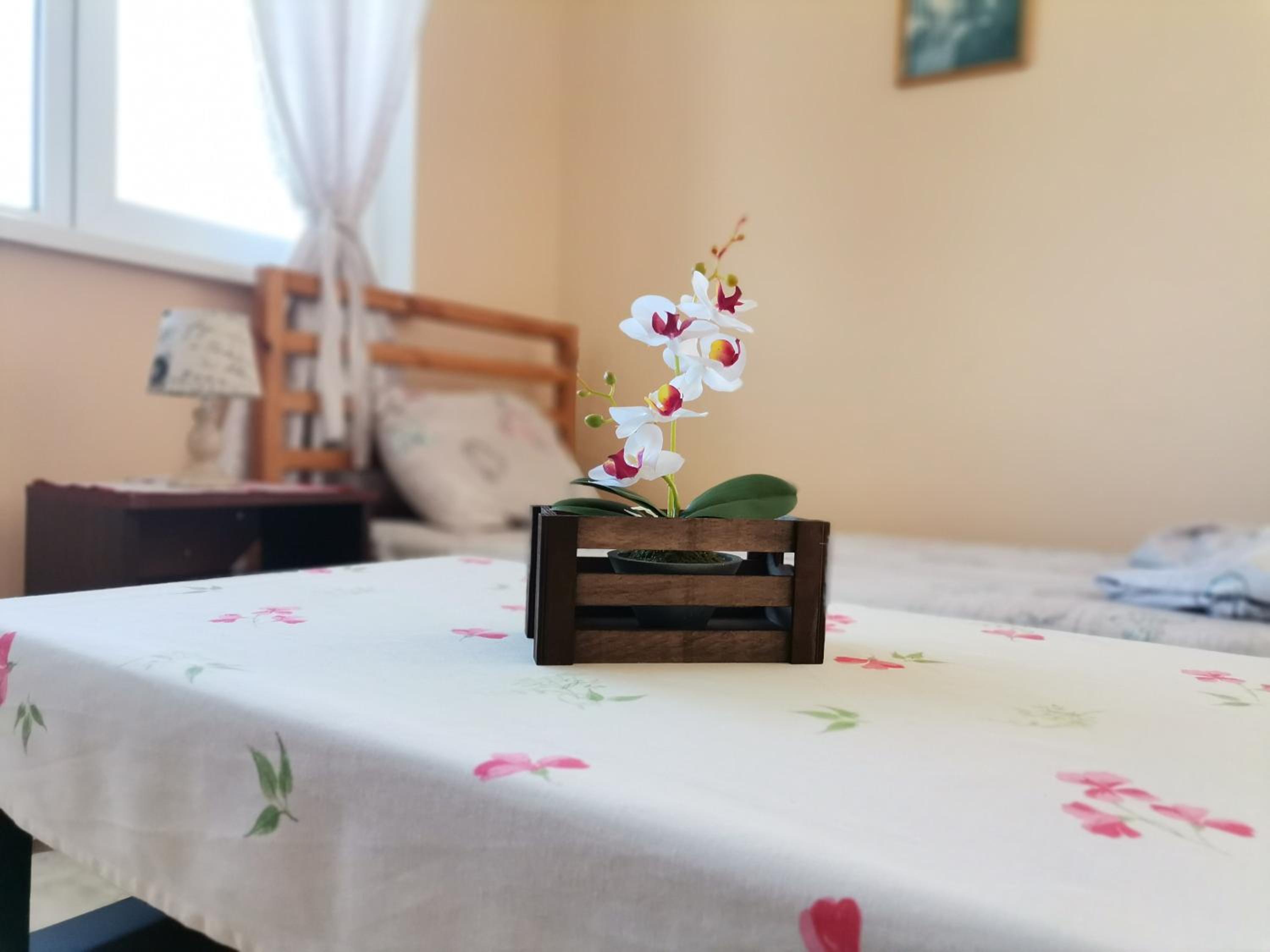 Guest House 51