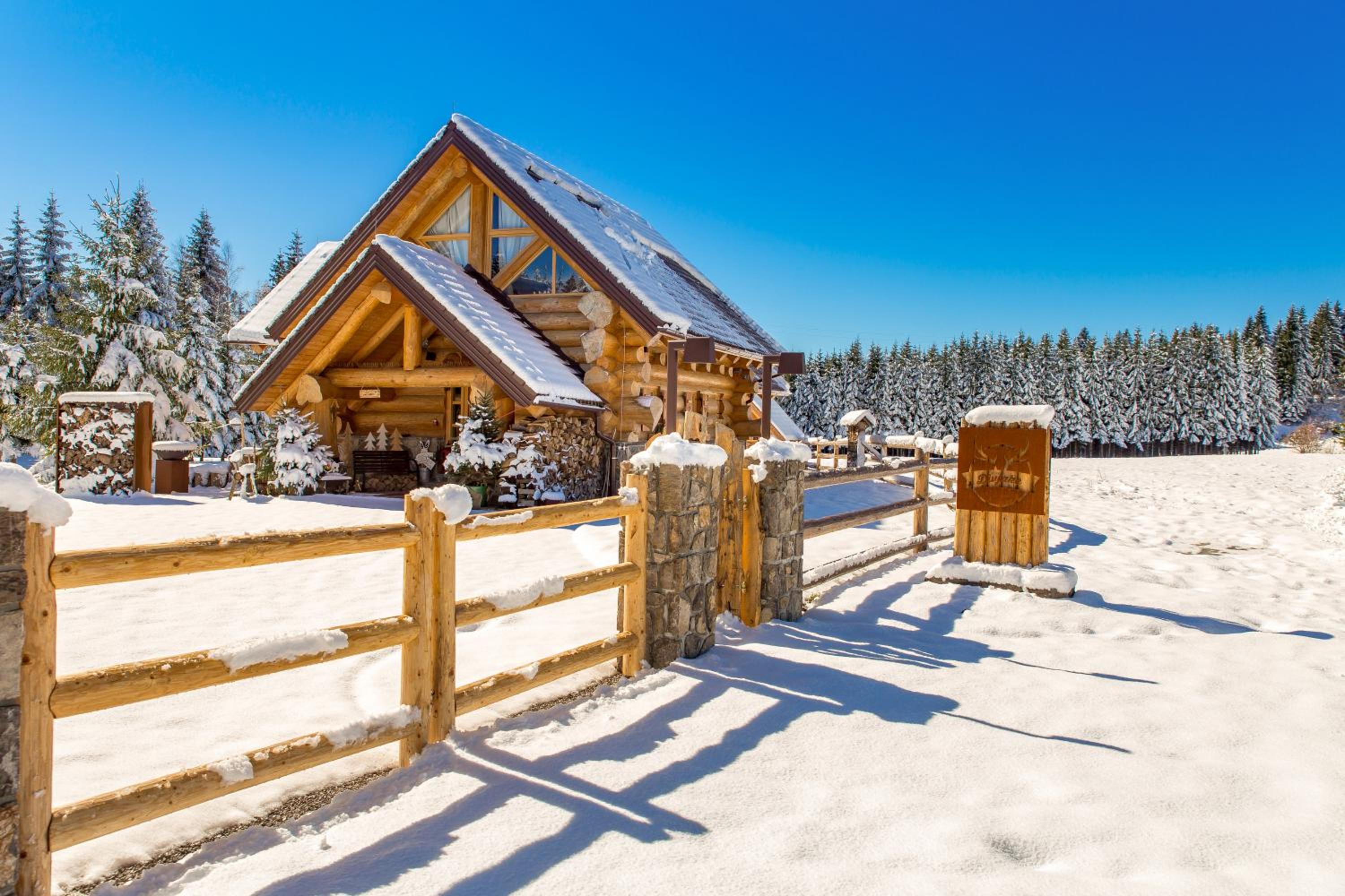 KRALJICA ŠUME - Divjake Log Home view 3