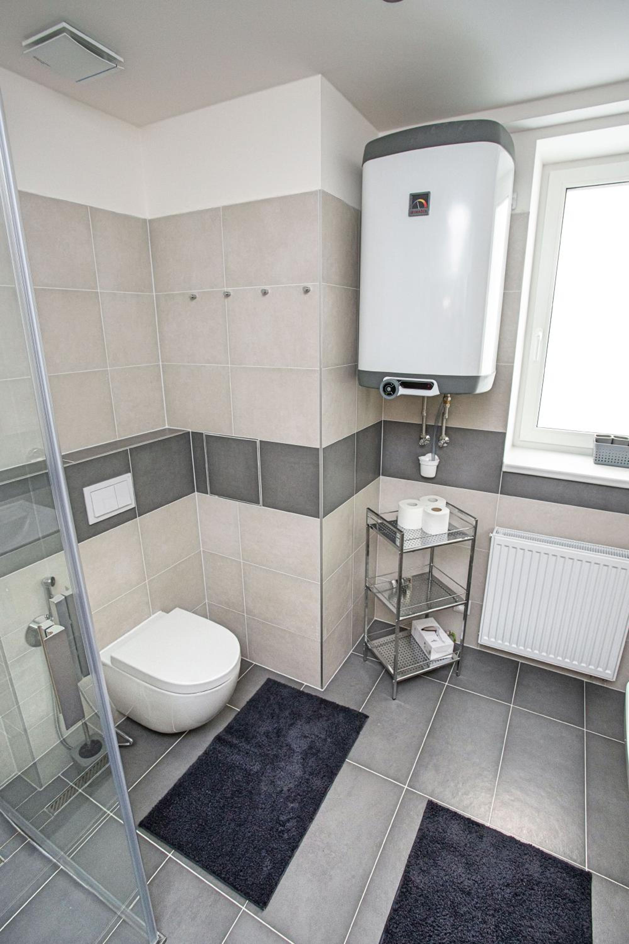 Green apartment Klínovec view 5