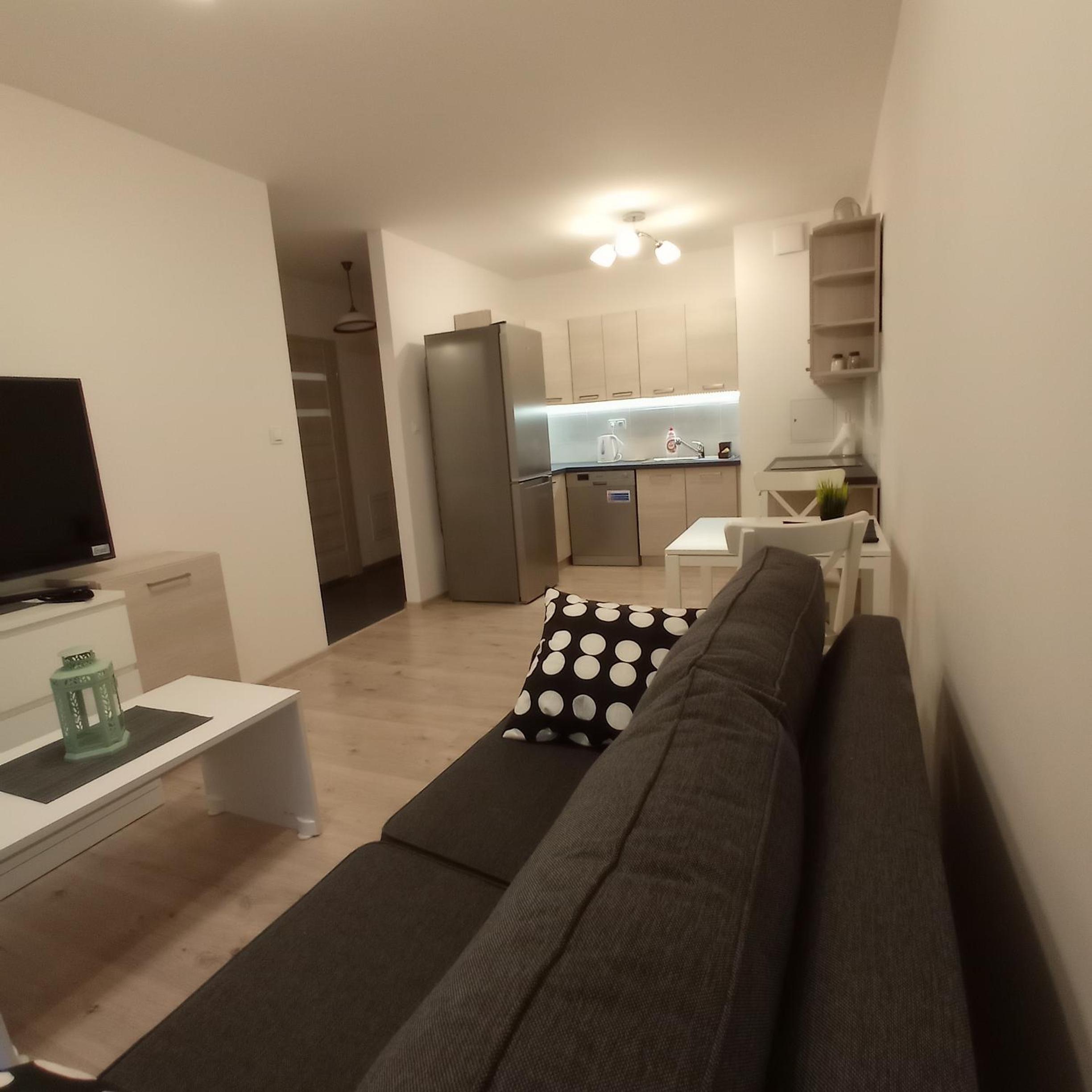 Apartament Ruczaj 2 view 5