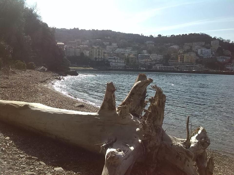Kirillos IN CILENTO