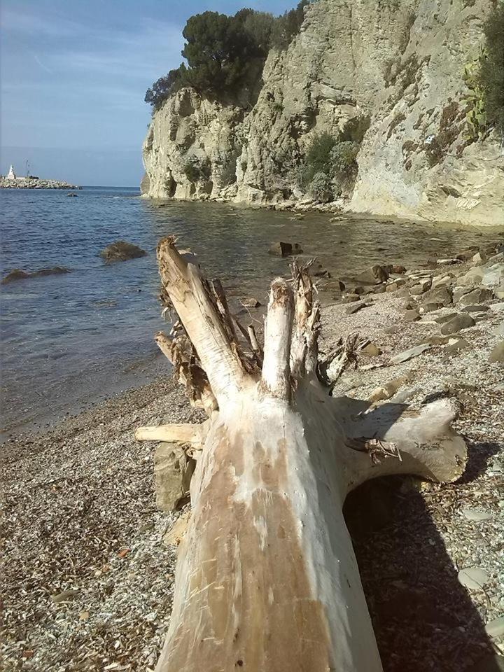 Kirillos IN CILENTO