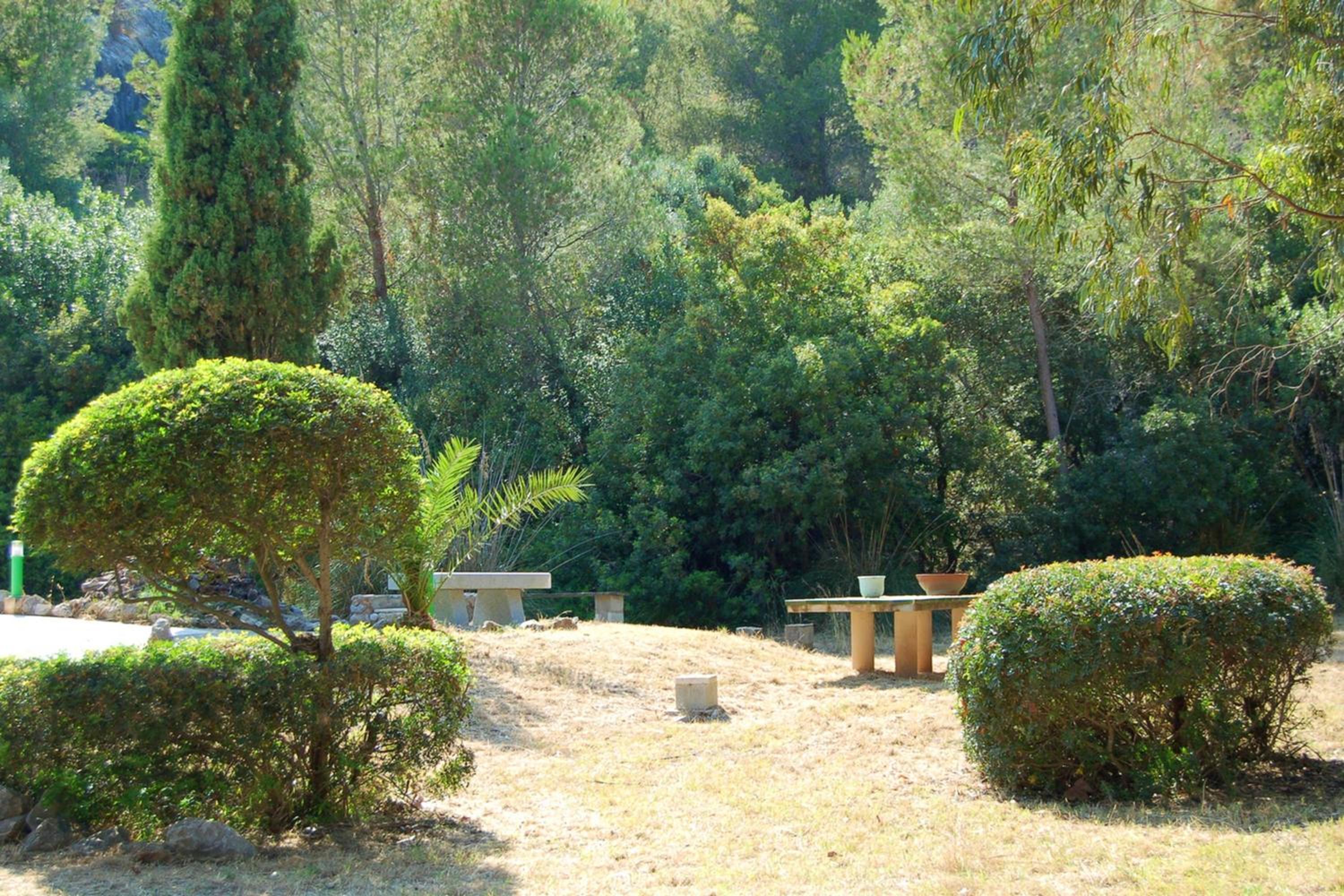 Spacious apartment in Pollenca with mountain view