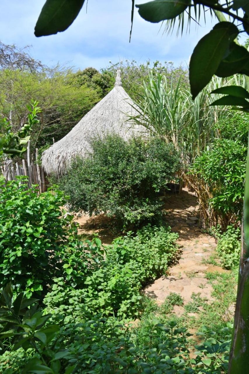 Casa Caracola
