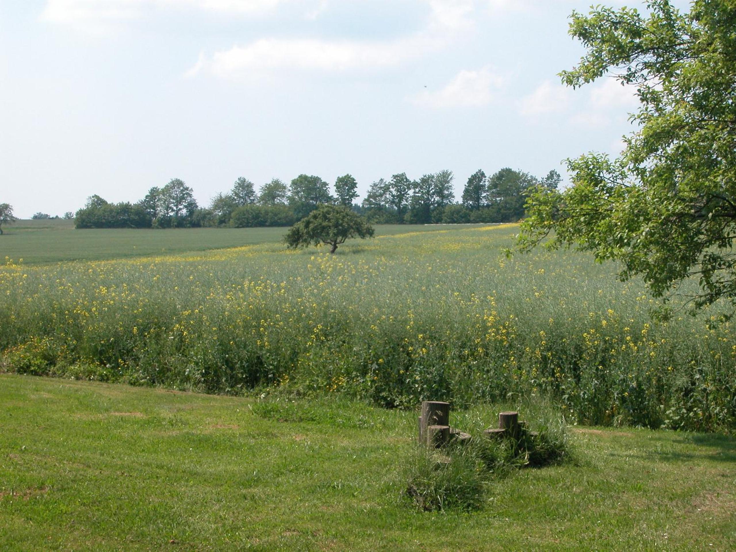 Hasselberger Hof