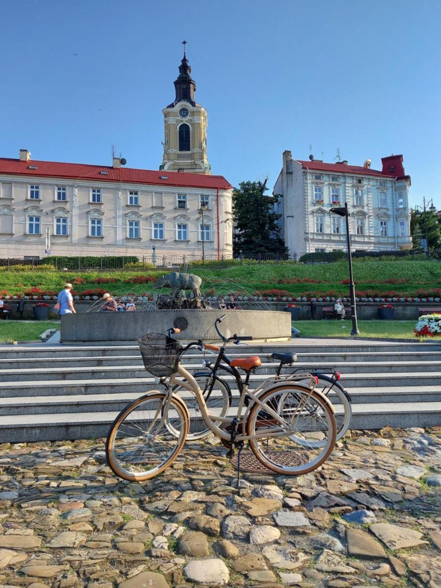 Apartament Łapacz Snów Przemyśl view 3