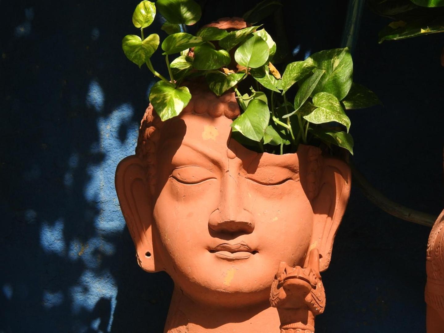 The Coral Tree Boutique Homestay