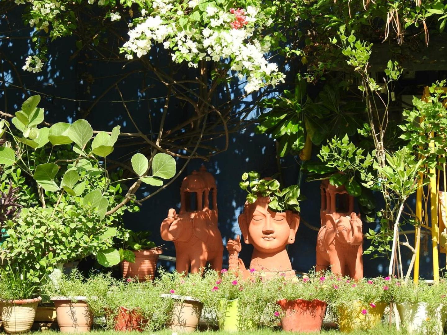 The Coral Tree Boutique Homestay