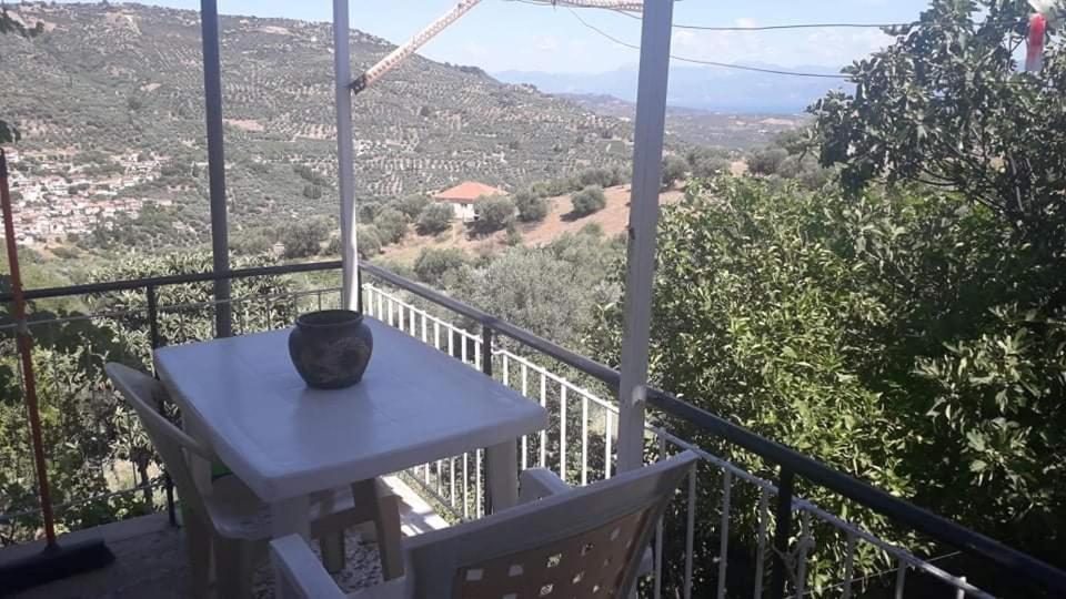 Vacation House Dionysia photo 4