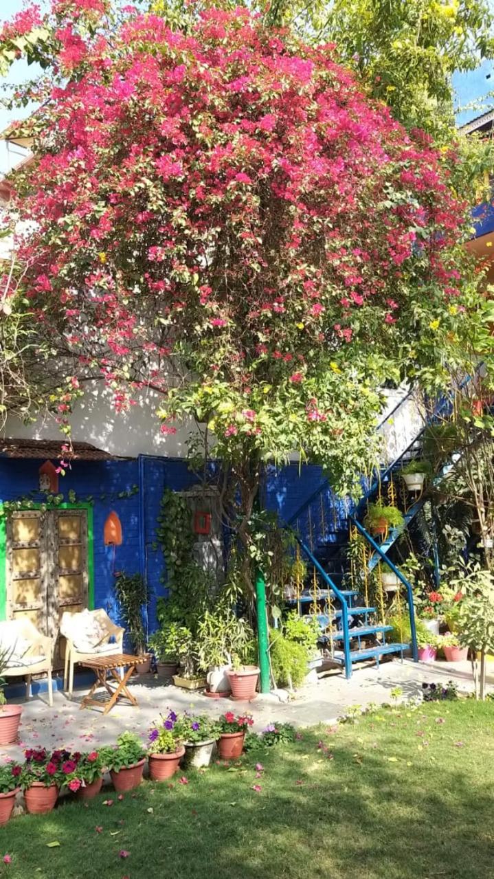 The Coral Tree Boutique Homestay