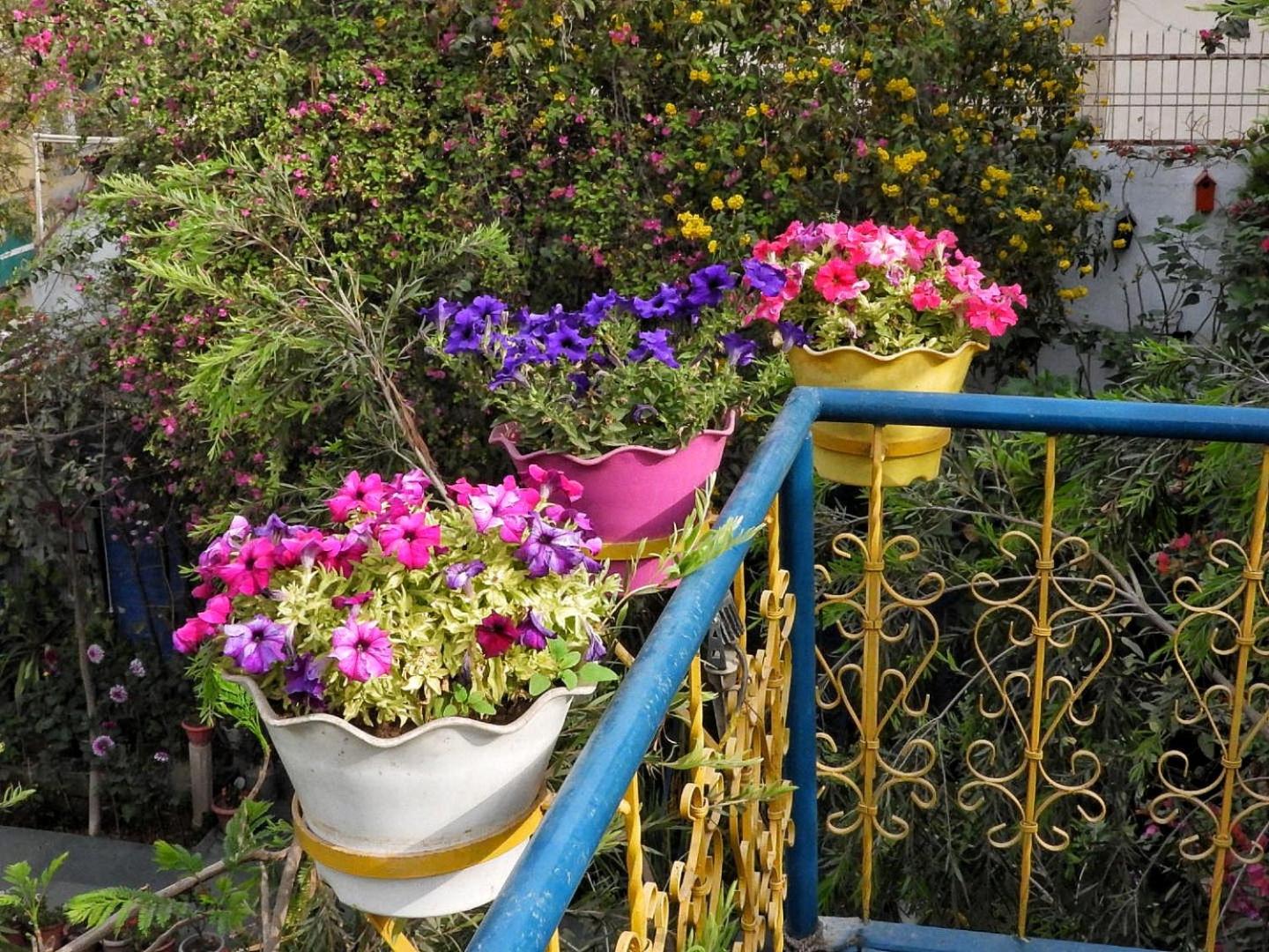The Coral Tree Boutique Homestay