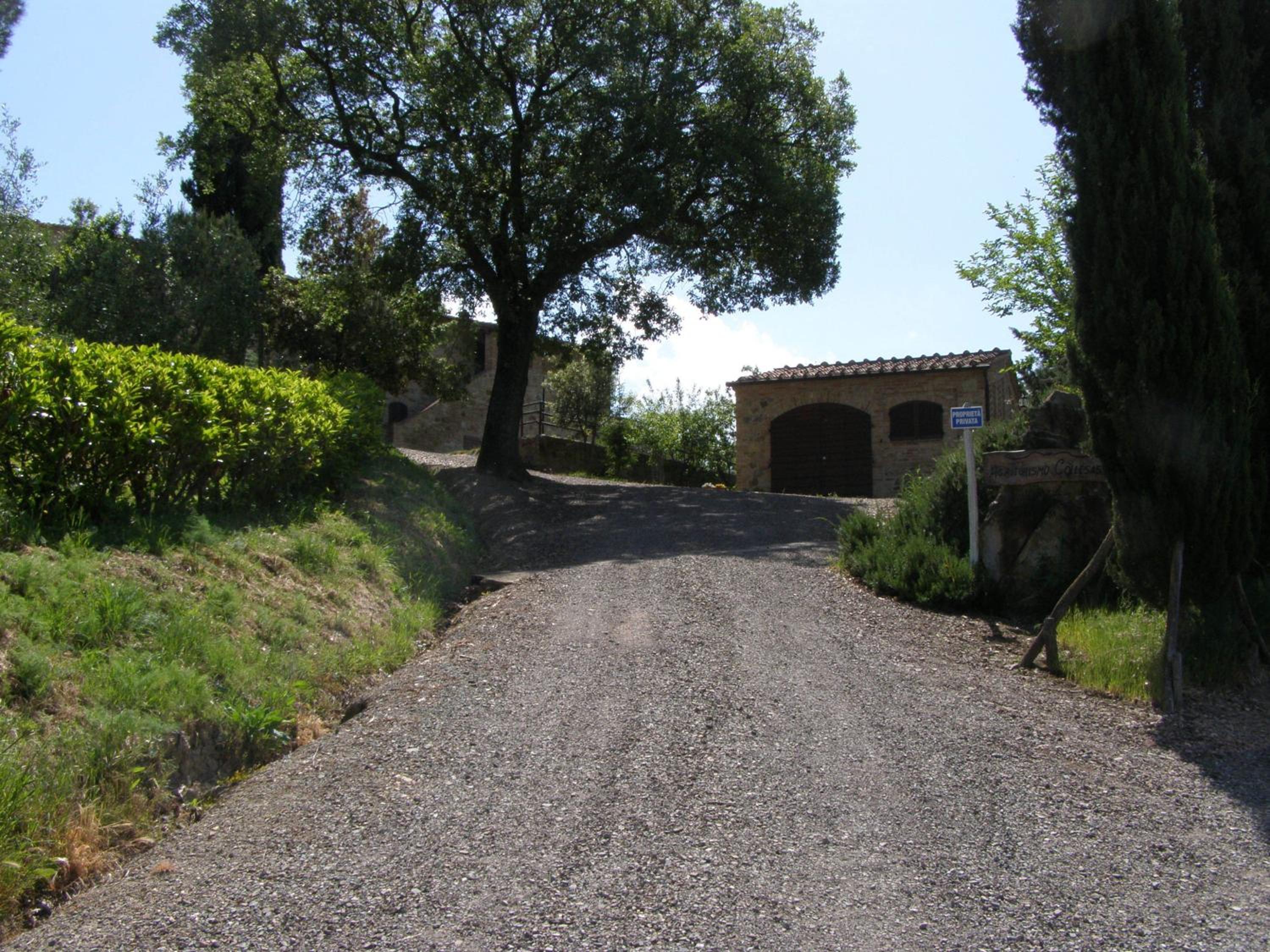Agriturismo Collesassi view 3