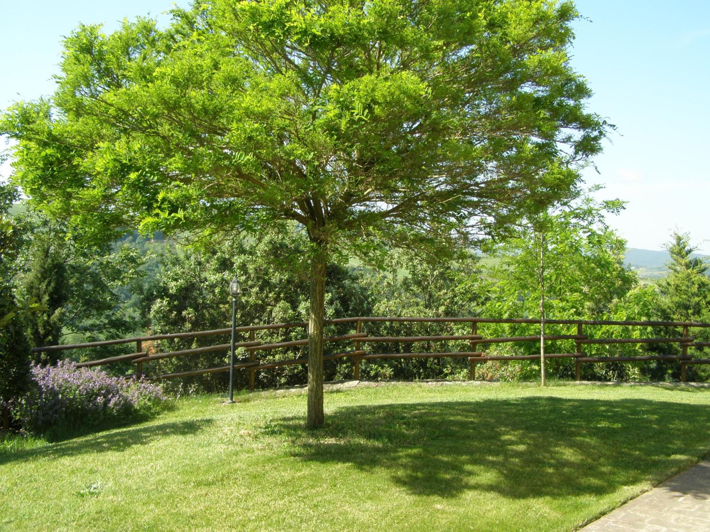 Agriturismo Collesassi view 5