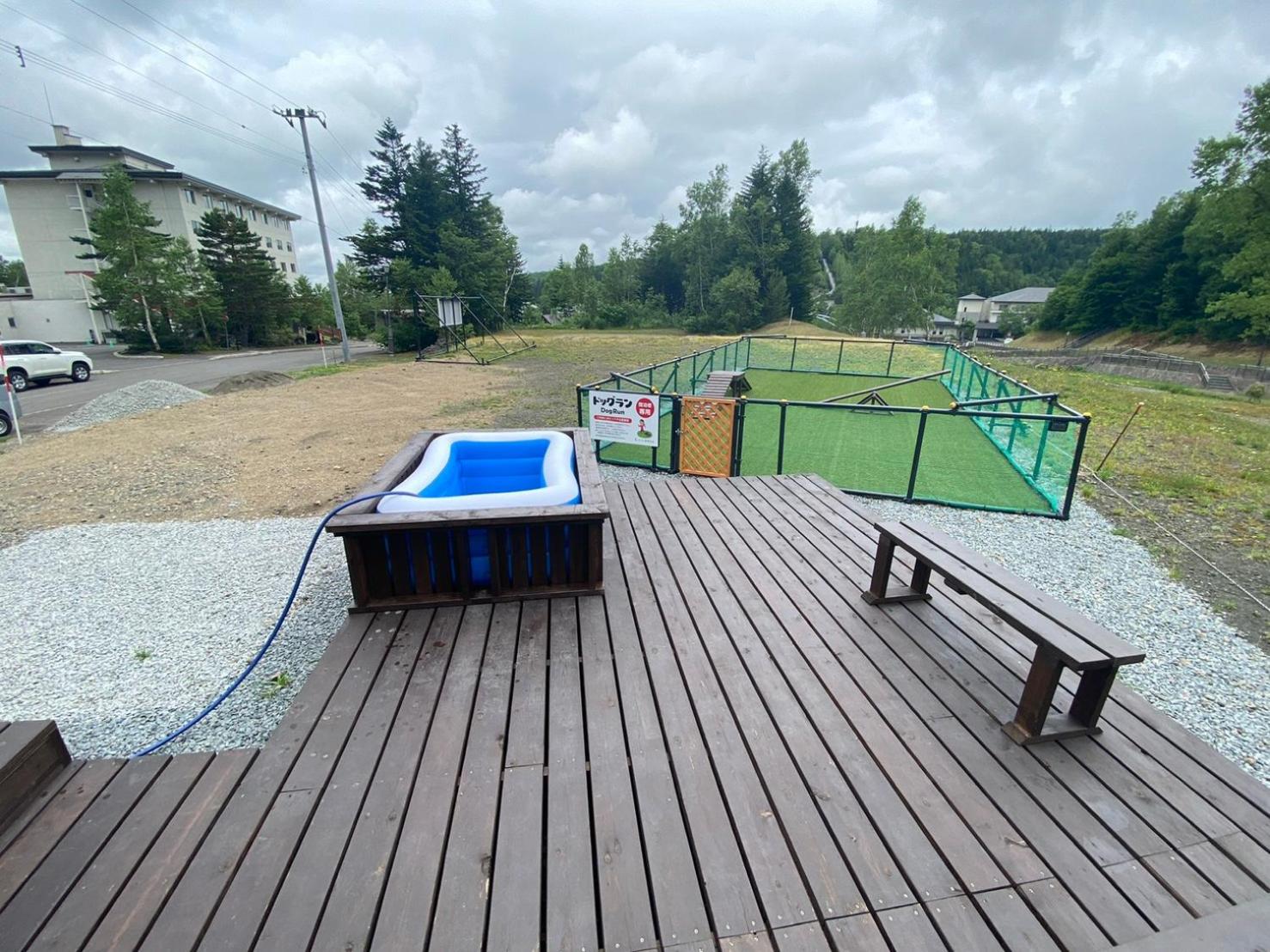 Photo 12