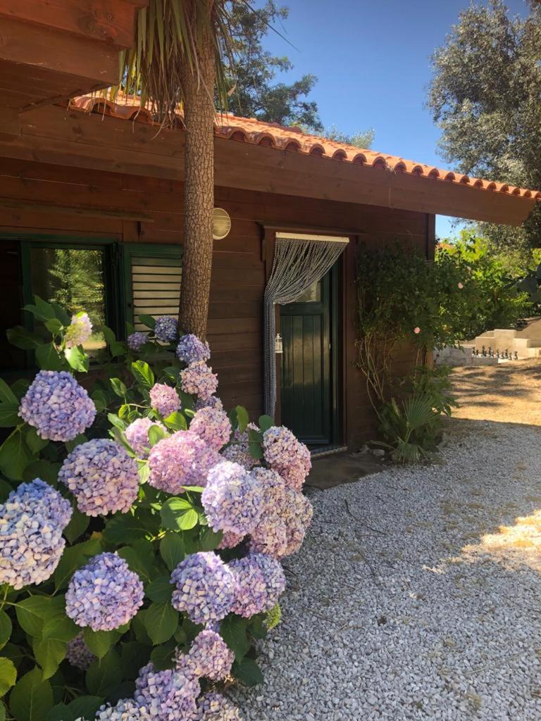 Redondo Lodges