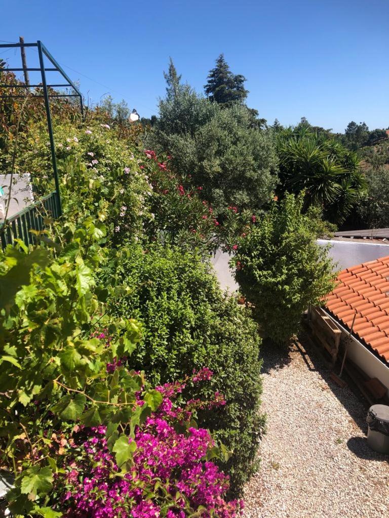 Redondo Lodges