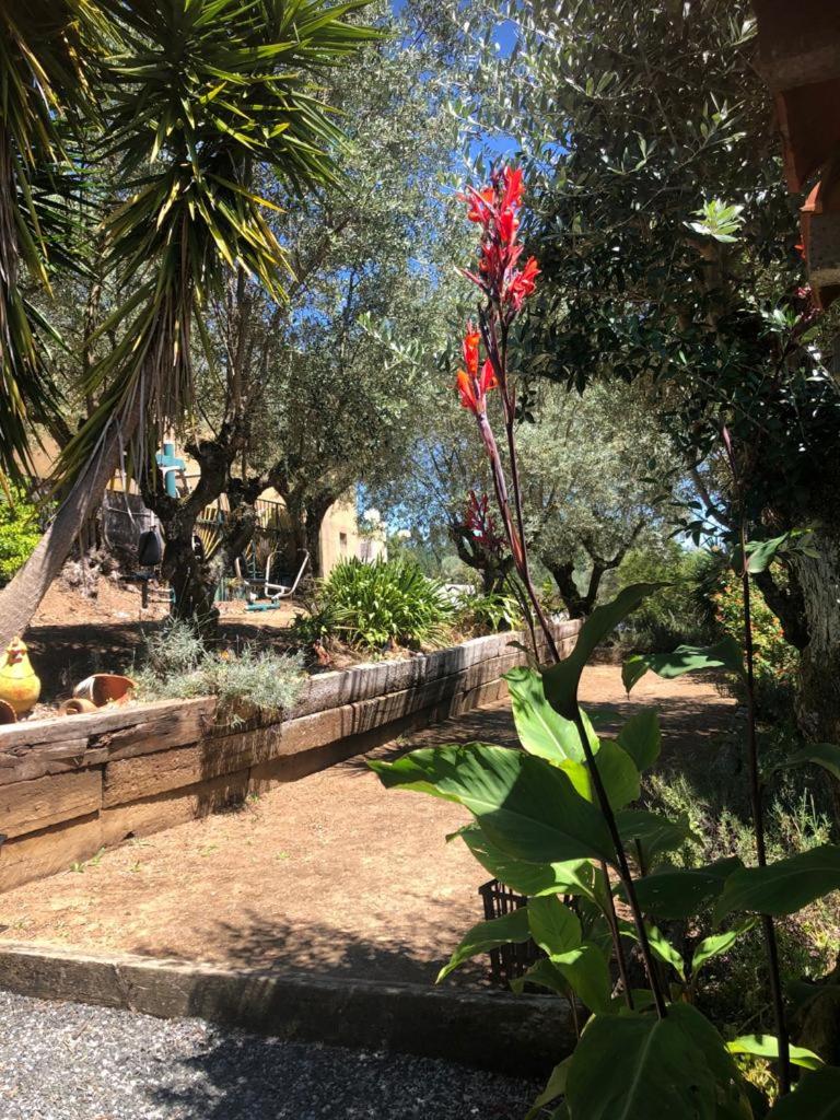 Redondo Lodges