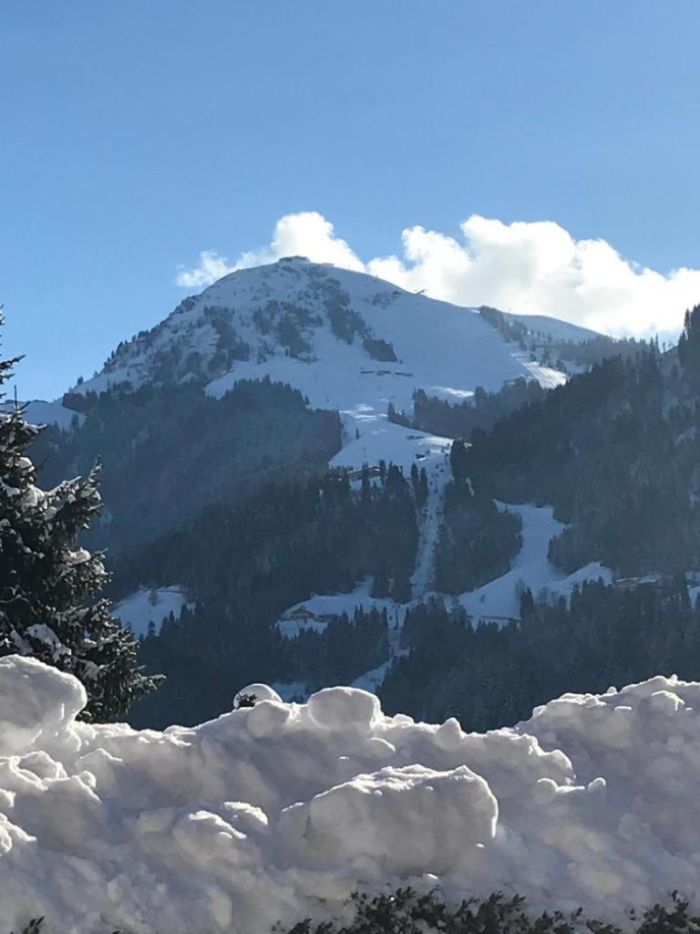 Wittner's view 3
