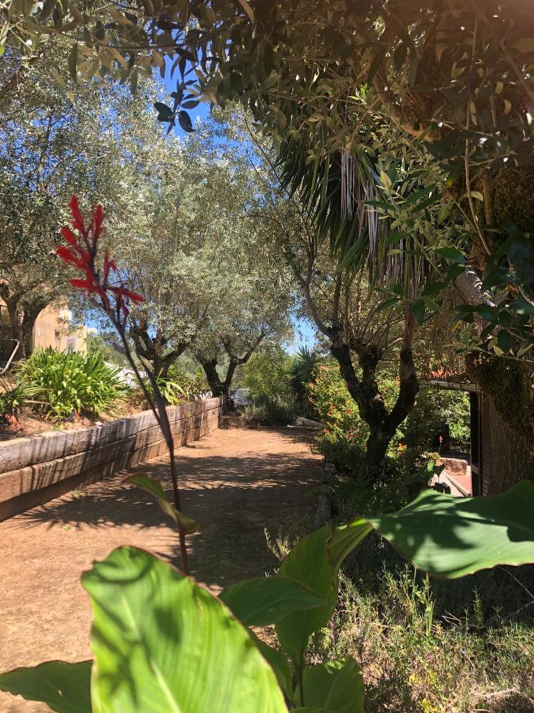 Redondo Lodges