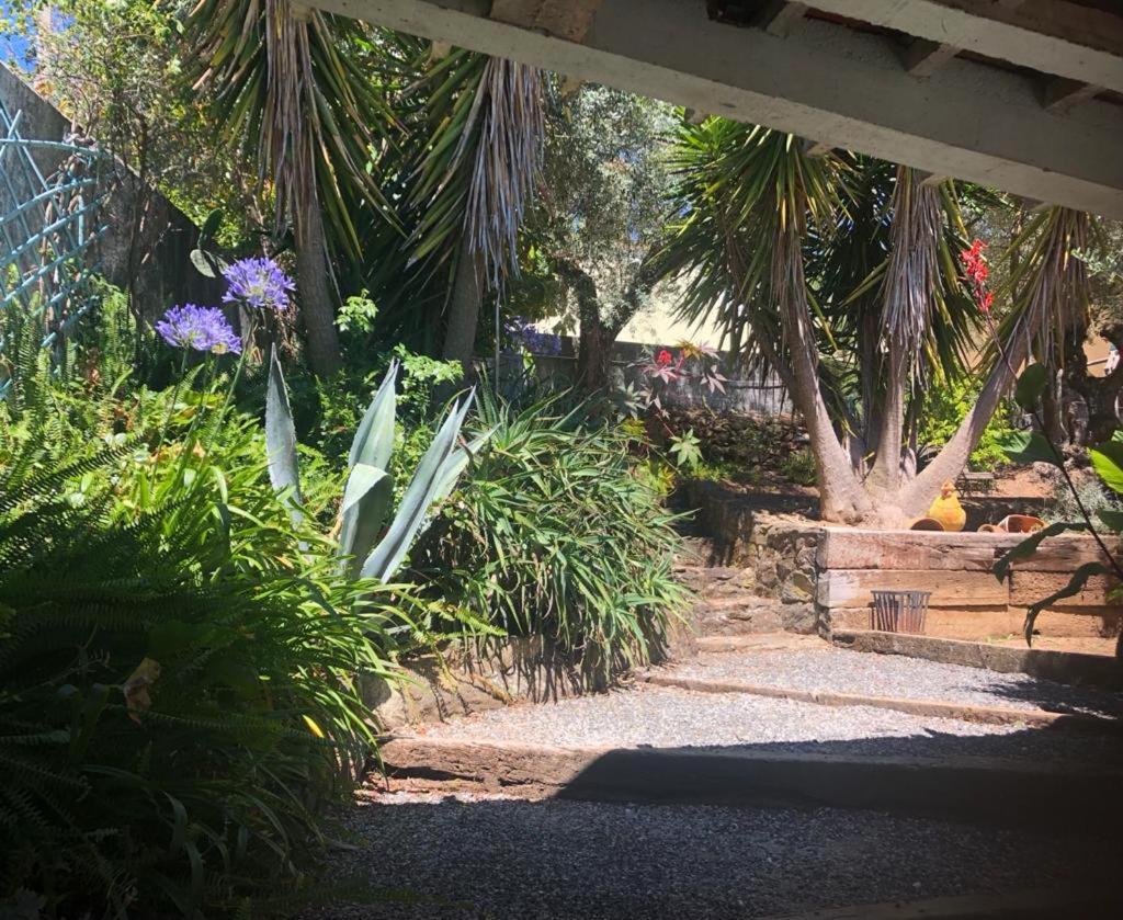 Redondo Lodges