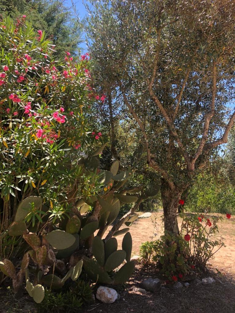 Redondo Lodges