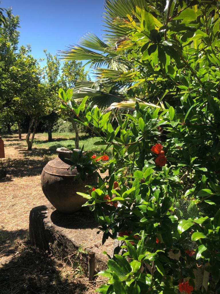 Redondo Lodges
