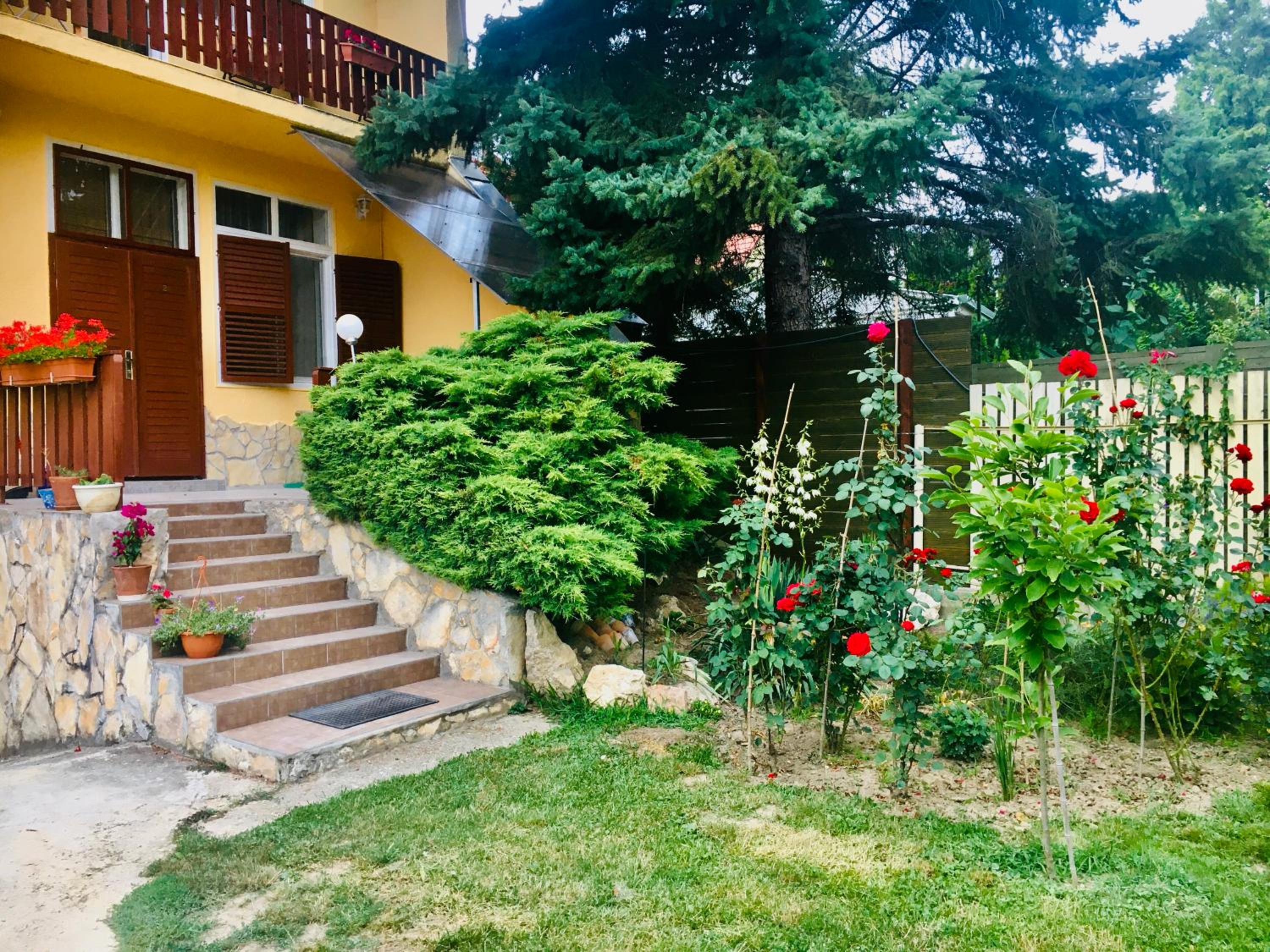 Photo 48
