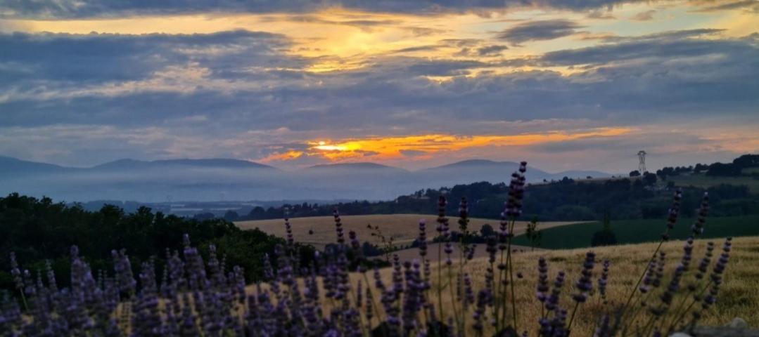 Une pause sur la colline