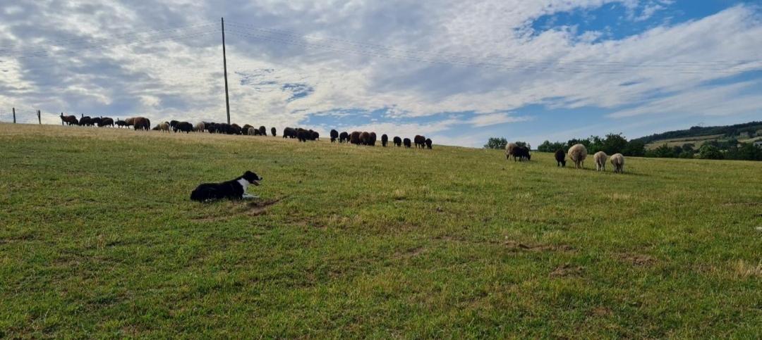 Une pause sur la colline