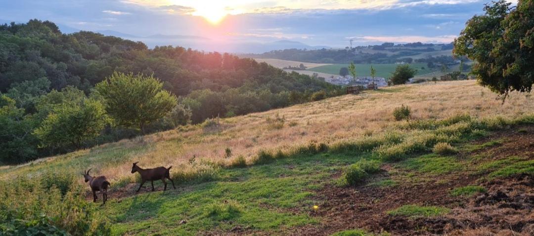 Une pause sur la colline